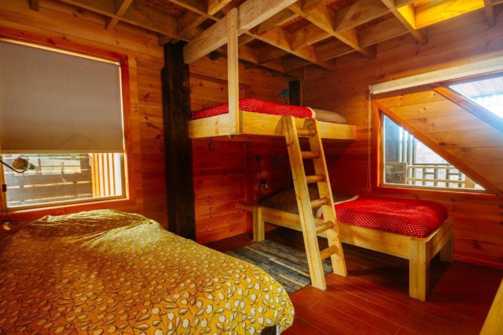 Sirena Insolente Hostel & Suites بتشيلمو المظهر الخارجي الصورة